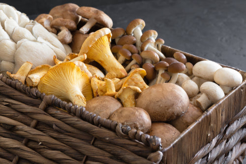 Mushrooms for Skin Health