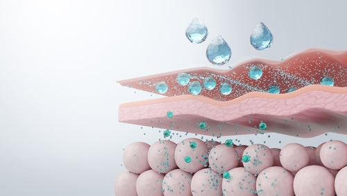 What Your Skin Barrier Truly Needs