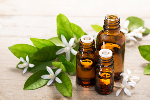 Neroli Oil for Skin