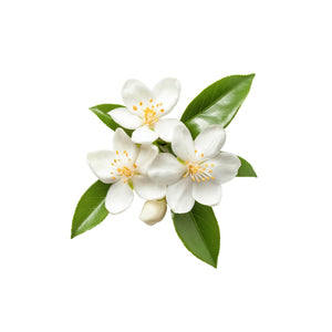 Neroli