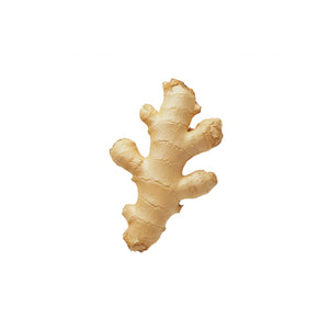 Ginger