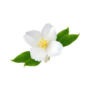 Jasmine Oil