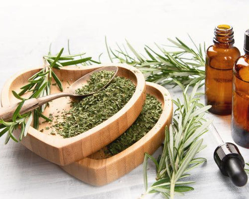 Rosemary Radiance: A Hair Hack with a High ROI
