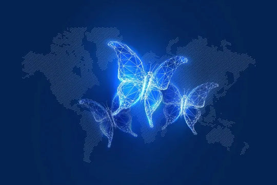 Blue Zones: Where Longevity Thrives
