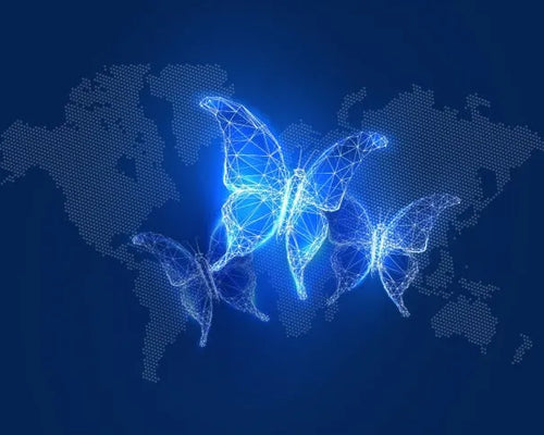 Blue Zones: Where Longevity Thrives