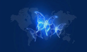 Blue Zones: Where Longevity Thrives