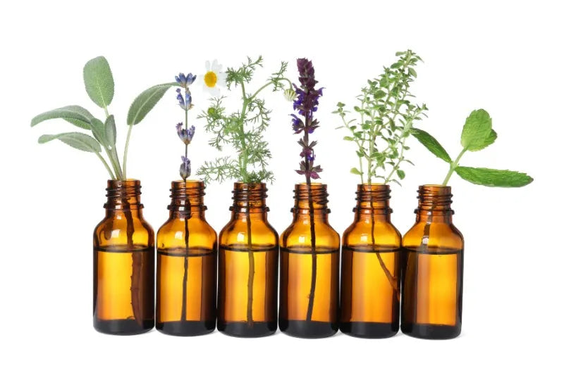 The Beauty of Plant Oils: How Topical Applications Transform Your Skin