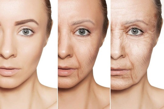 Understanding Skin Aging