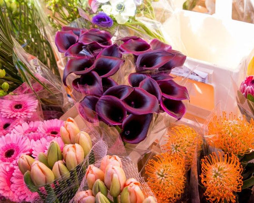 The Language of Flowers