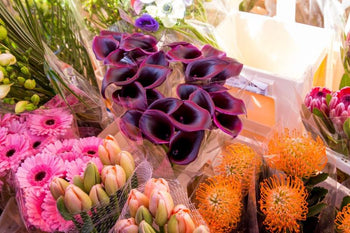 The Language of Flowers