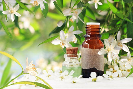 Neroli Oil: When Bitter is Quite Sweet