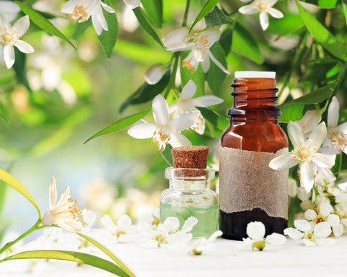 Neroli Oil: When Bitter is Quite Sweet