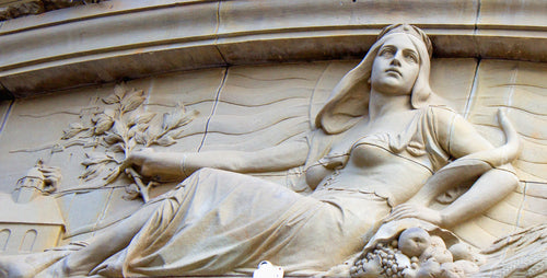 The Greek Secret to Timeless Skin: How Ancient Botanicals Power Modern Skincare