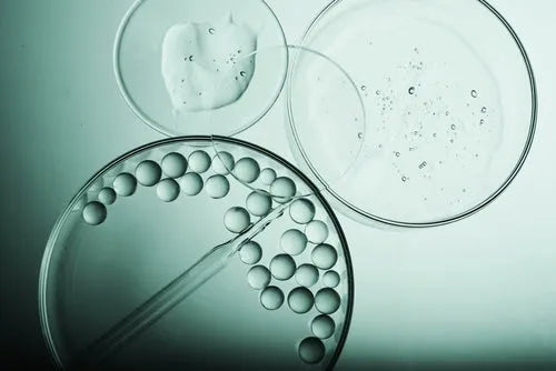 Plant Collagen vs. Animal Collagen