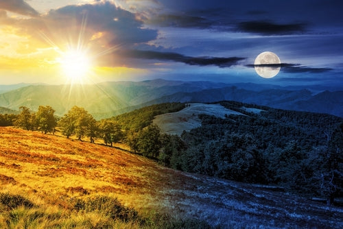 Morning vs. Night: Maximum Impact from Skincare