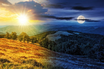 Morning vs. Night: Maximum Impact from Skincare