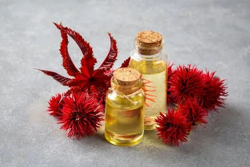 Castor Oil: The Timeless Elixir for Skin, Hair, Nails, and Digestion
