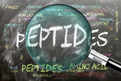 Why Is Everyone Talking About Peptides?