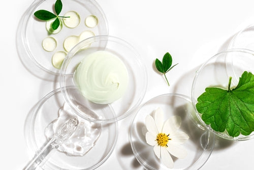 The Organic Glow-Up: Why Your Skin Is Craving a Botanical Reset 