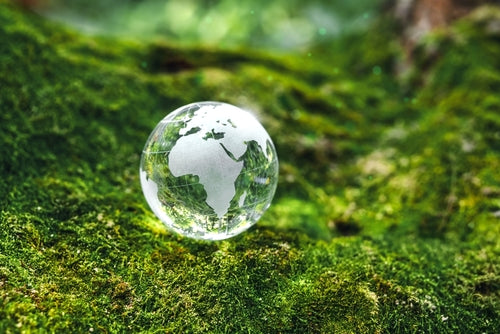 The Earth-Loving Benefits of Organic Skincare