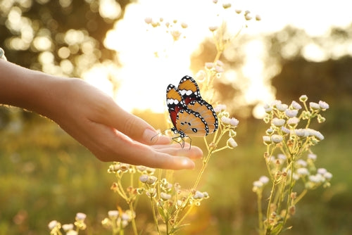  Skin as delicate as a butterfly's wings. 
