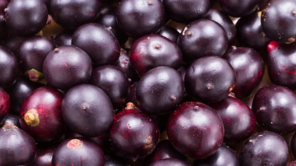 Acai Berry