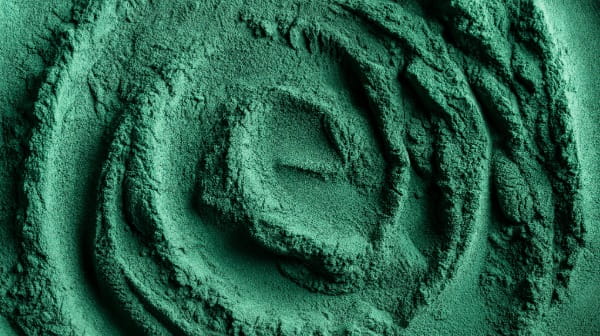 Algae Protein