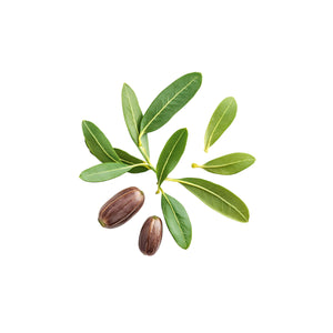 Jojoba