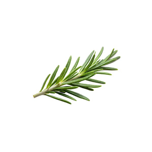 Rosemary