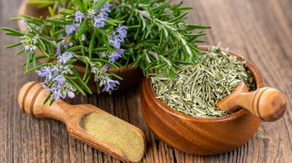 Rosemary Extract