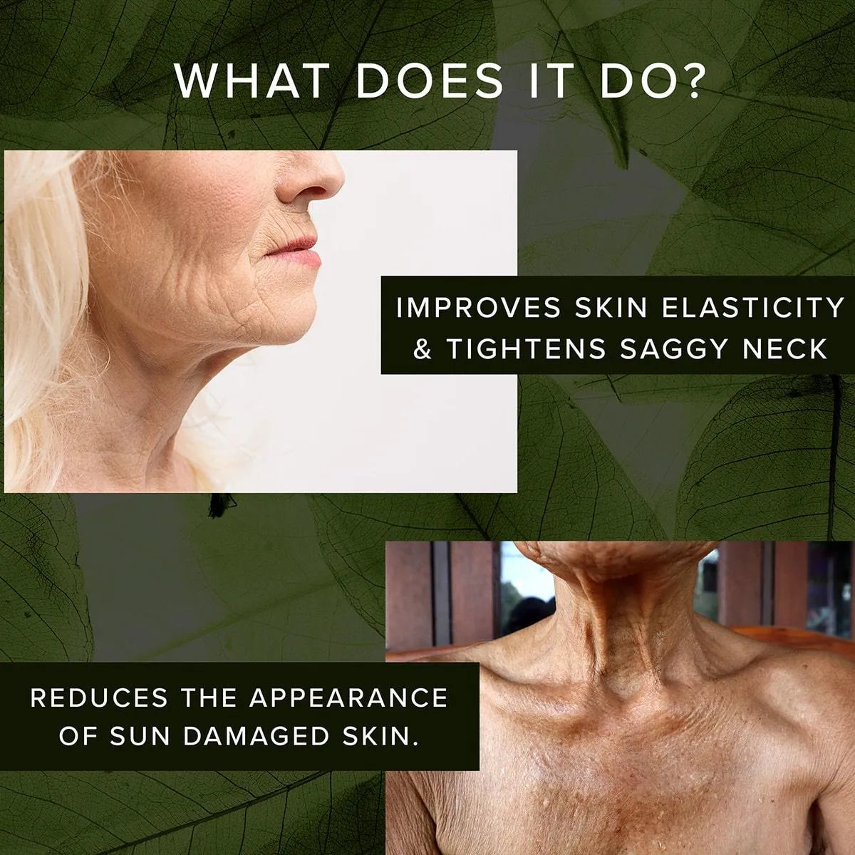 Plant Collagen Neck & Chest - Adonia Organics