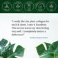 Plant Collagen Night Serum
